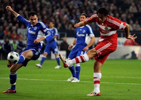 中港两地体 中港两地体